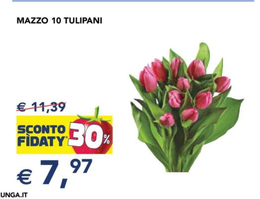 MAZZO 10 TULIPANI