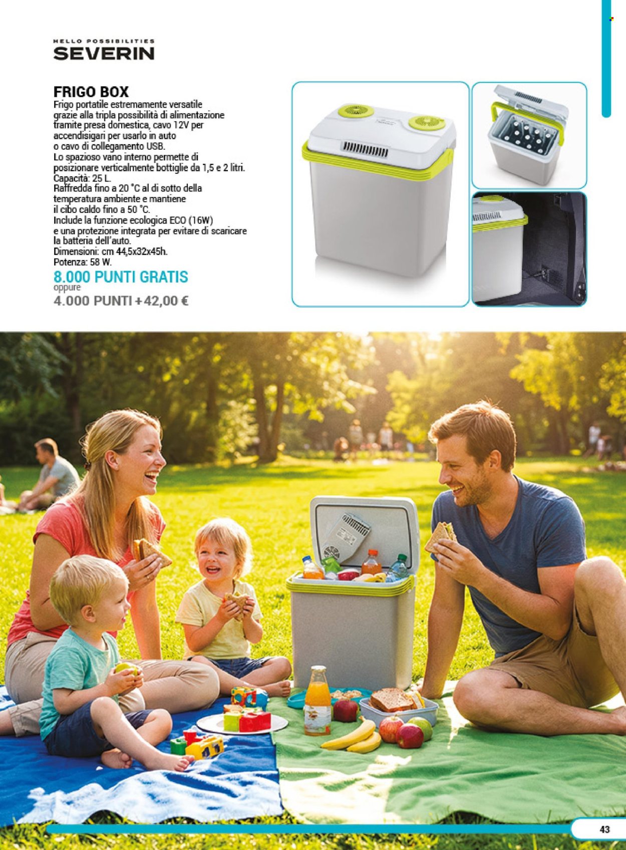 Volantino COAL - 24/3/2026 - 20/3/2027. Pagina 43