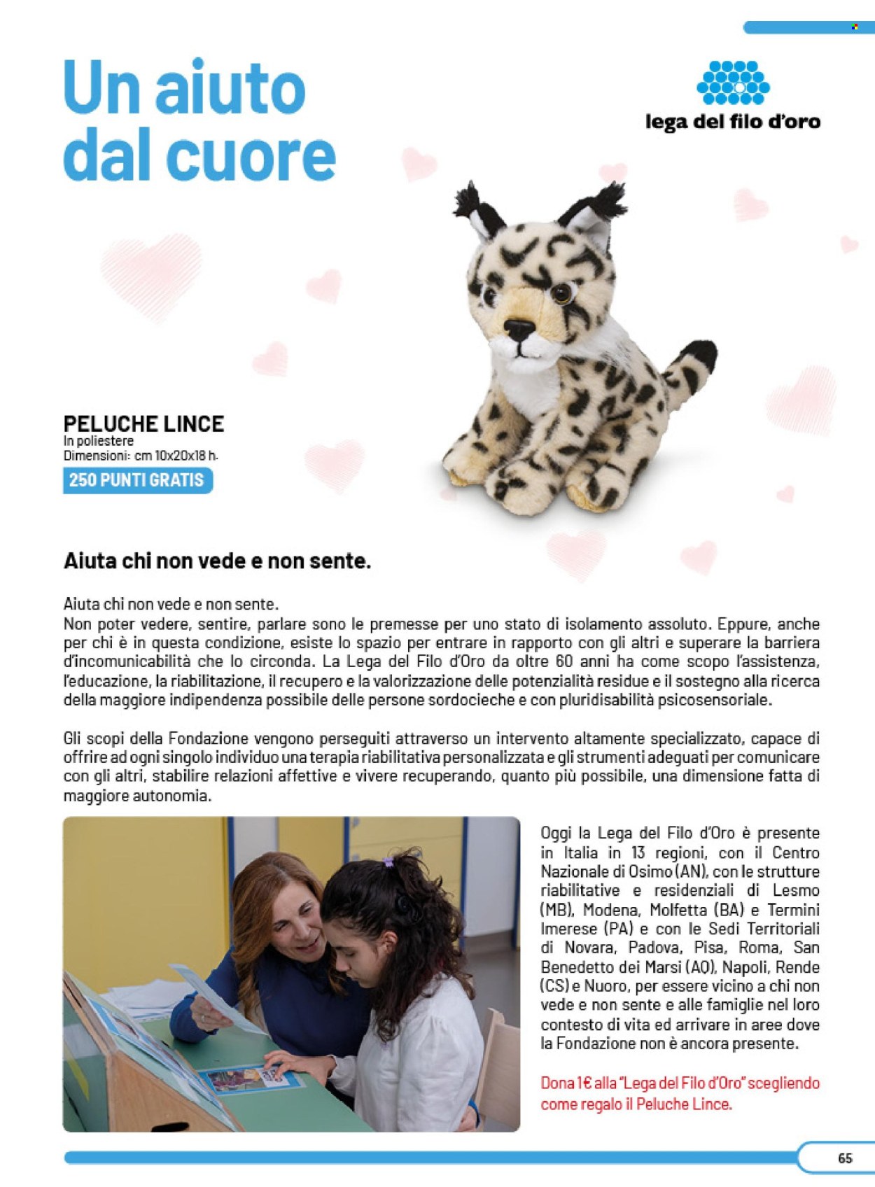 Volantino COAL - 24/3/2026 - 20/3/2027. Pagina 65