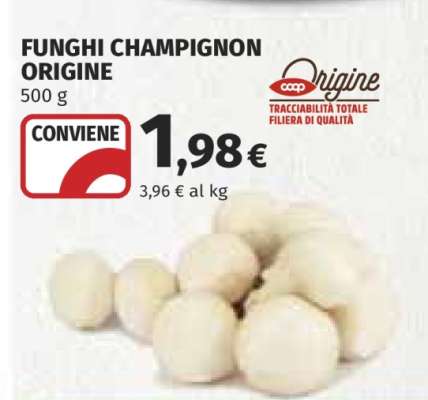 Funghi Champignon Origine