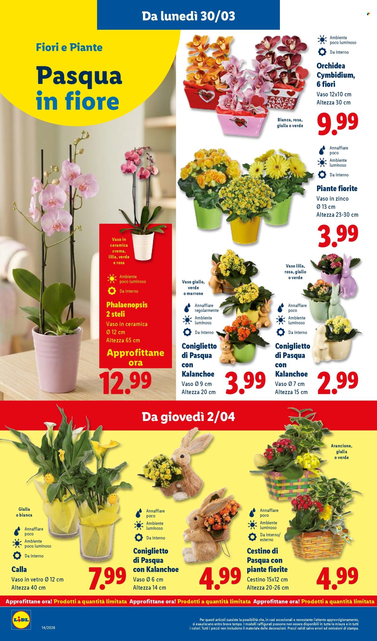 Volantino Lidl - 30/3/2026 - 8/4/2026. Pagina 50