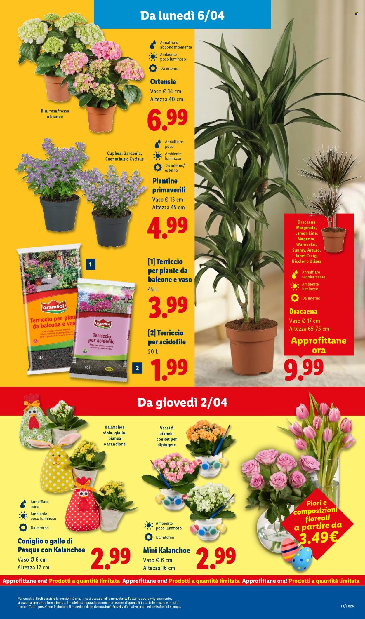Volantino Lidl - 30/3/2026 - 8/4/2026. Pagina 51
