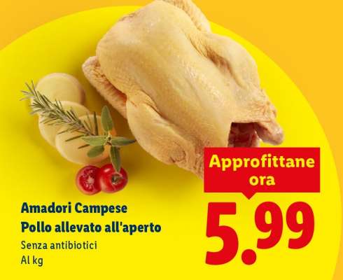 Amadori Campese Pollo allevato all'aperto