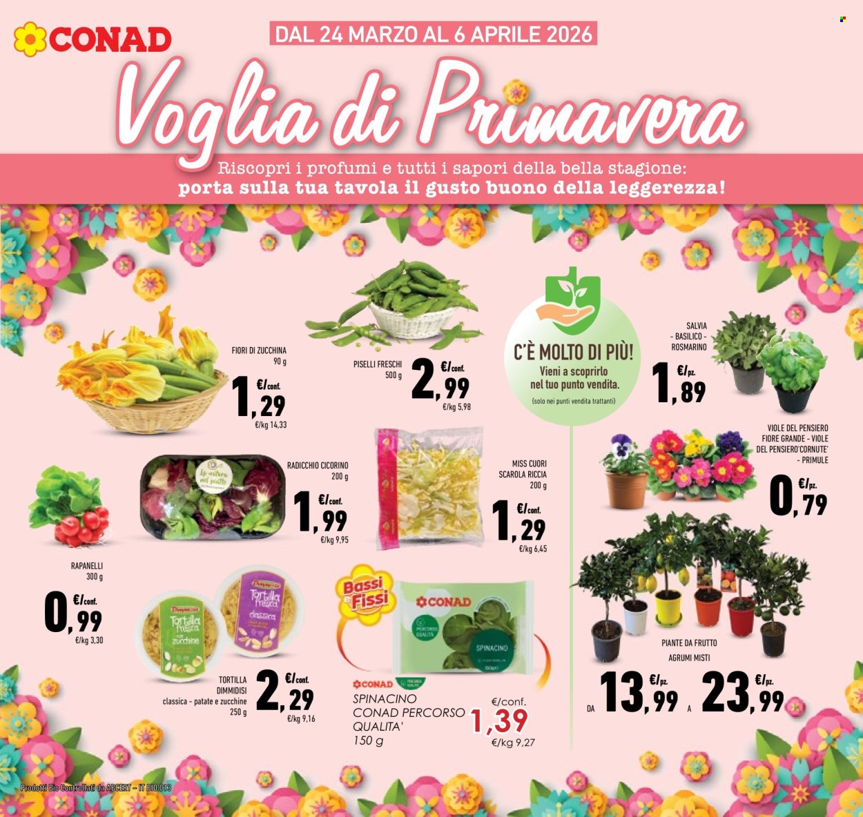 Volantino Conad - 24/3/2026 - 6/4/2026. Pagina 7