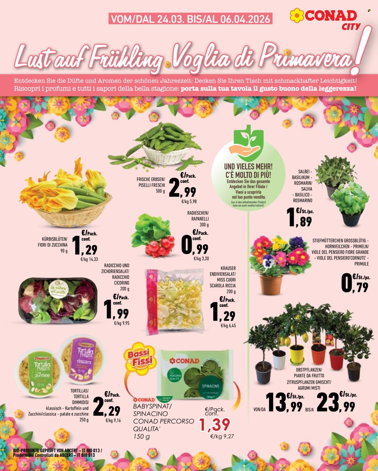 Volantino Conad City - 24/3/2026 - 6/4/2026. Pagina 5