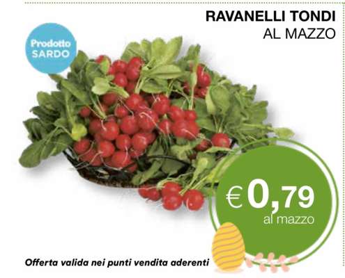 RAVANELLI TONDI