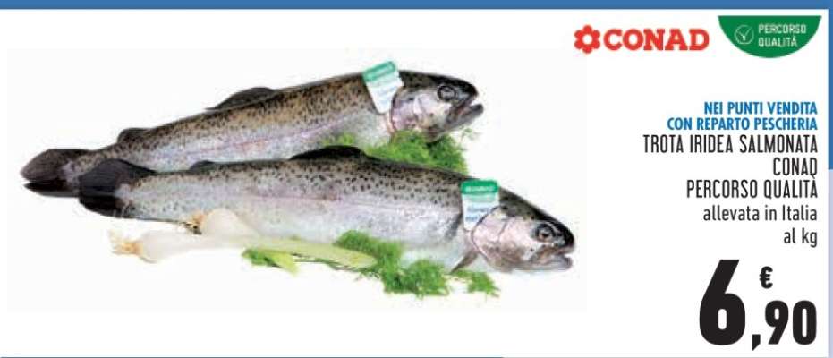 Trota Iridea Salmonata