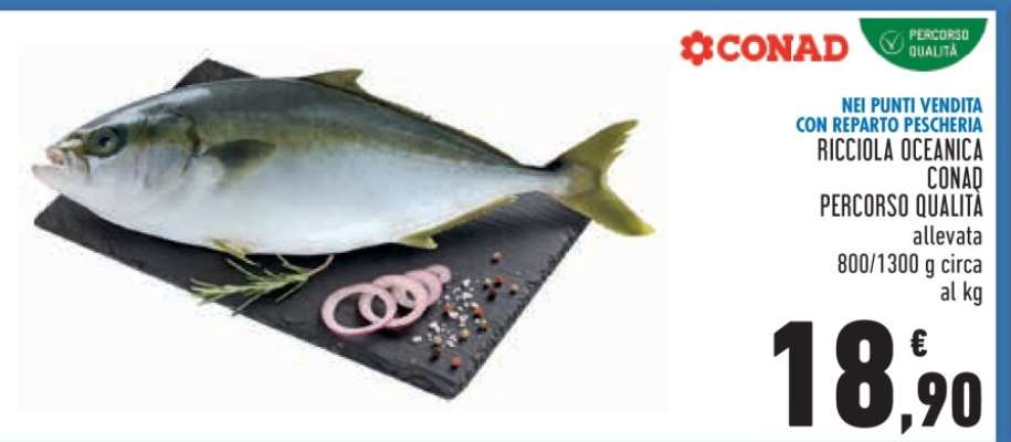 RICCIOLA OCEANICA CONAD PERCORSO QUALITÀ