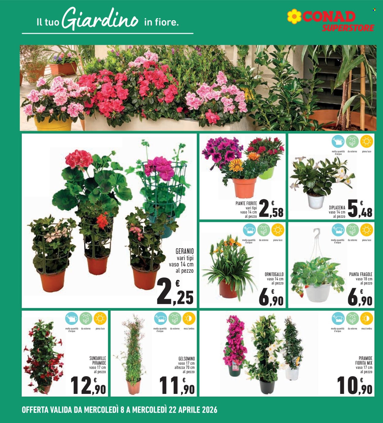 Volantino Conad Superstore - 8/4/2026 - 22/4/2026. Pagina 8