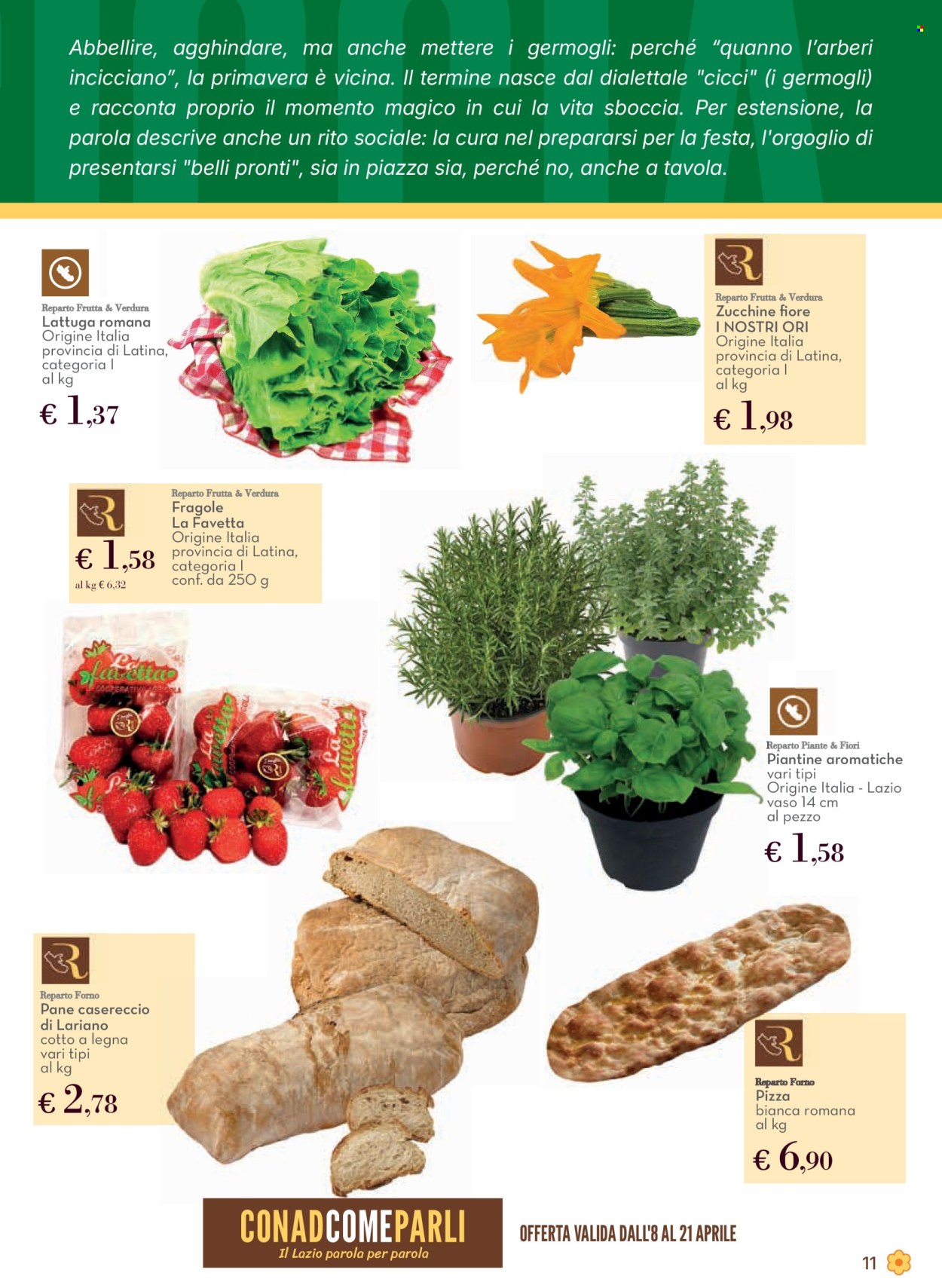 Volantino Conad - 8/4/2026 - 22/4/2026. Pagina 11