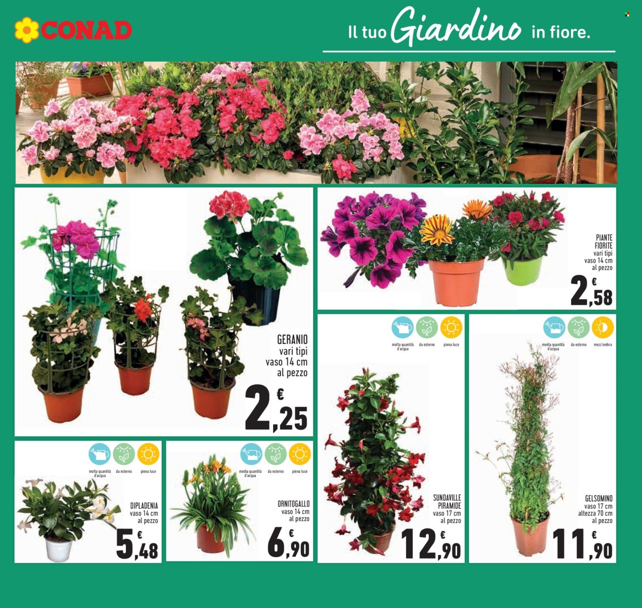 Volantino Conad - 8/4/2026 - 22/4/2026. Pagina 9