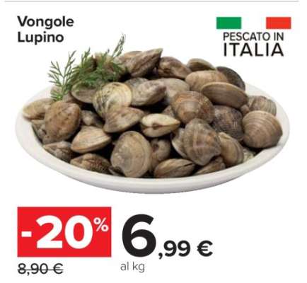 Vongole Lupino