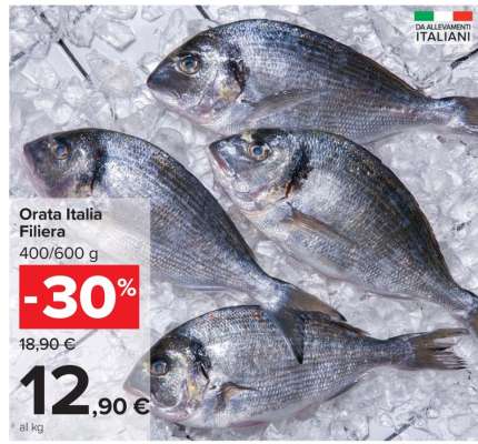 Orata Italia Filiera