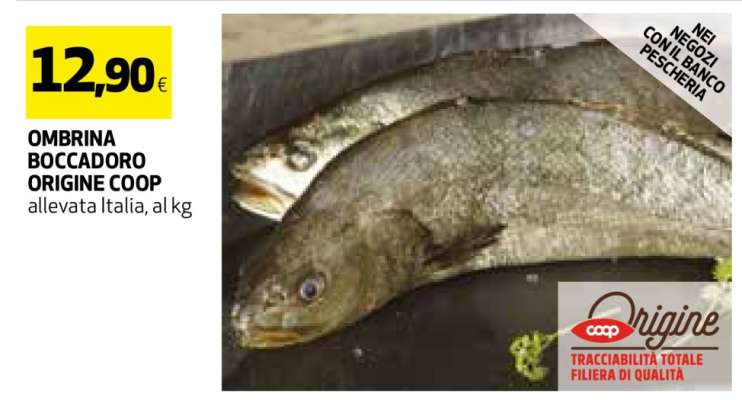 OMBRINA BOCCADORO ORIGINE COOP