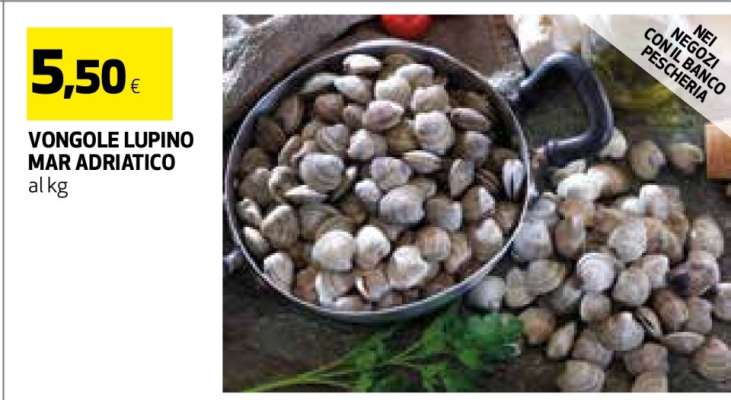 VONGOLE LUPINO MAR ADRIATICO