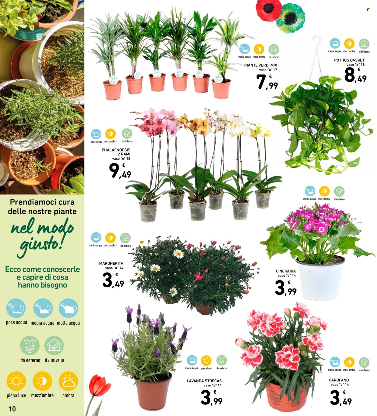 Volantino Spazio Conad - 7/4/2026 - 15/4/2026. Pagina 10