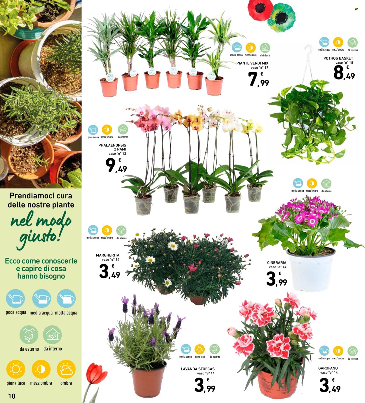 Volantino Spazio Conad - 7/4/2026 - 15/4/2026. Pagina 10