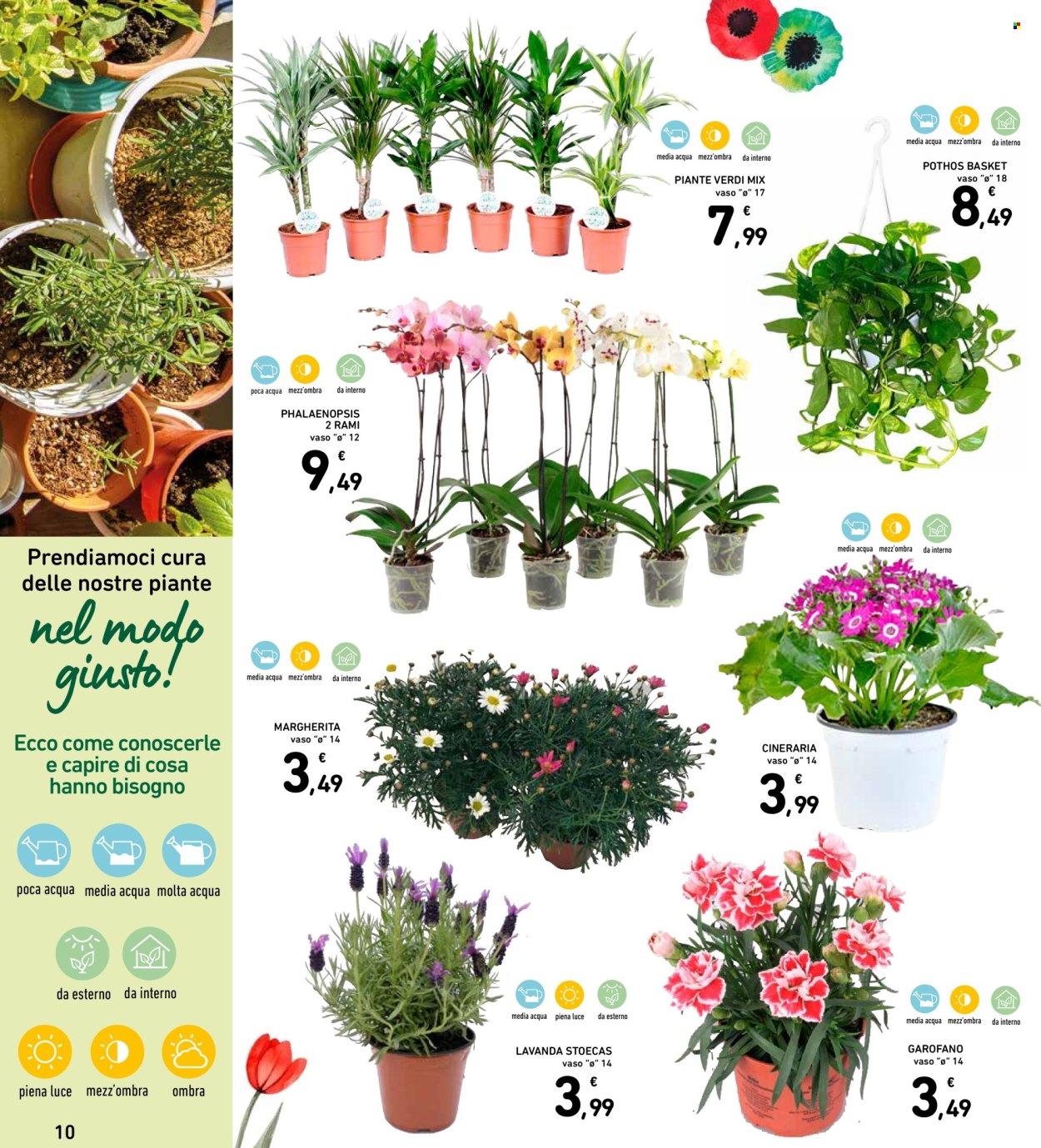 Volantino Spazio Conad - 7/4/2026 - 15/4/2026. Pagina 10