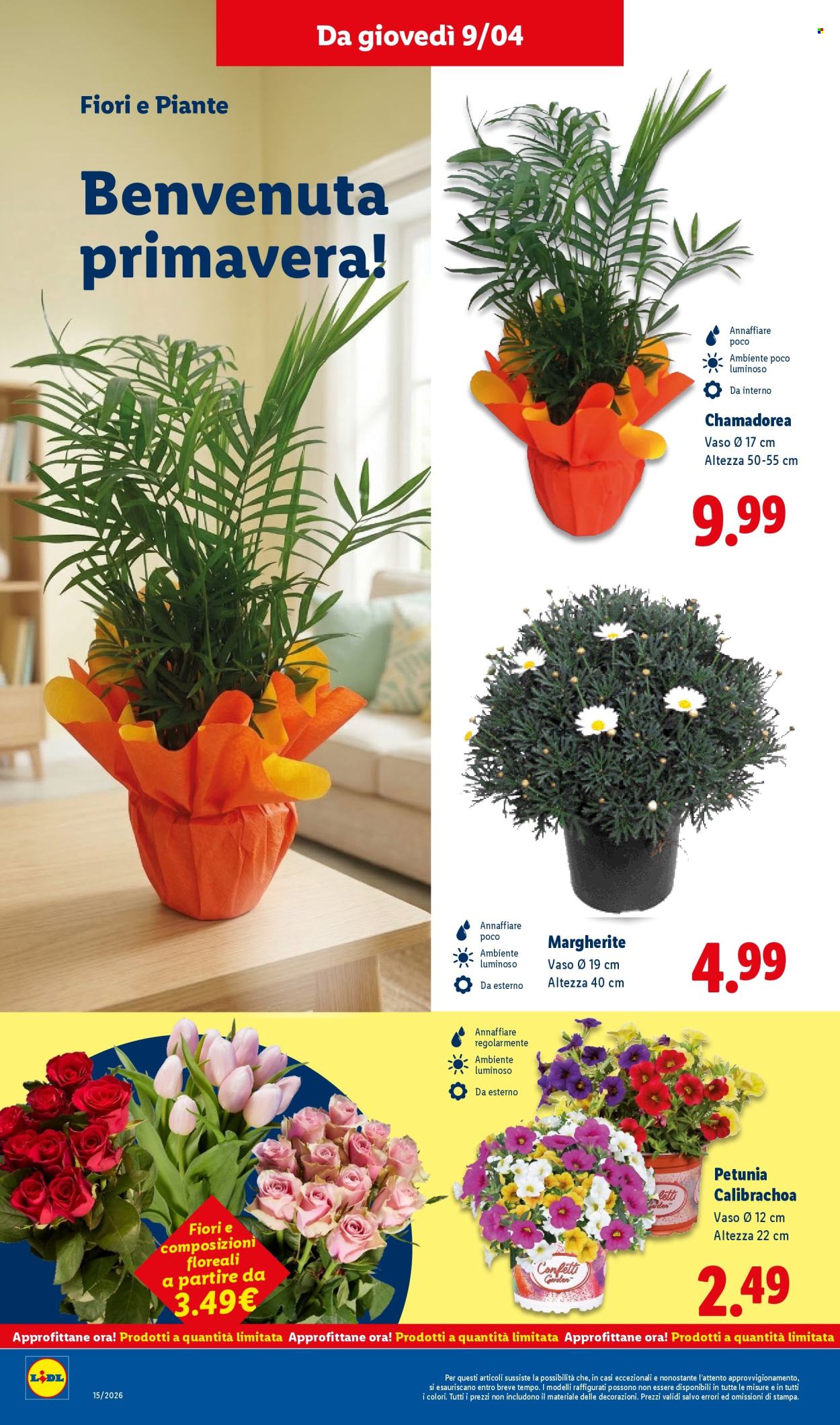 Volantino Lidl - 9/4/2026 - 15/4/2026. Pagina 34
