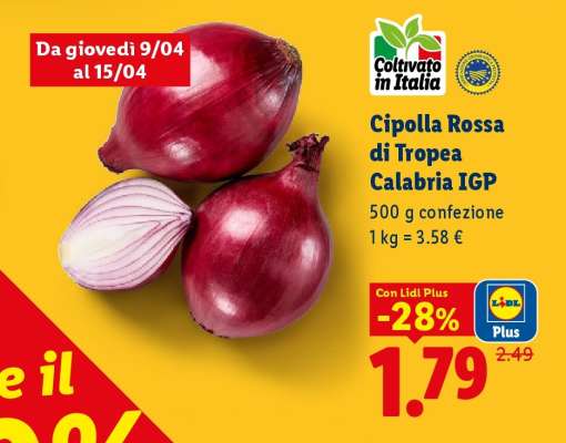 Cipolla Rossa di Tropea Calabria IGP