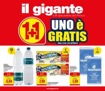 Volantino Il Gigante - 9/4/2026 - 22/4/2026.