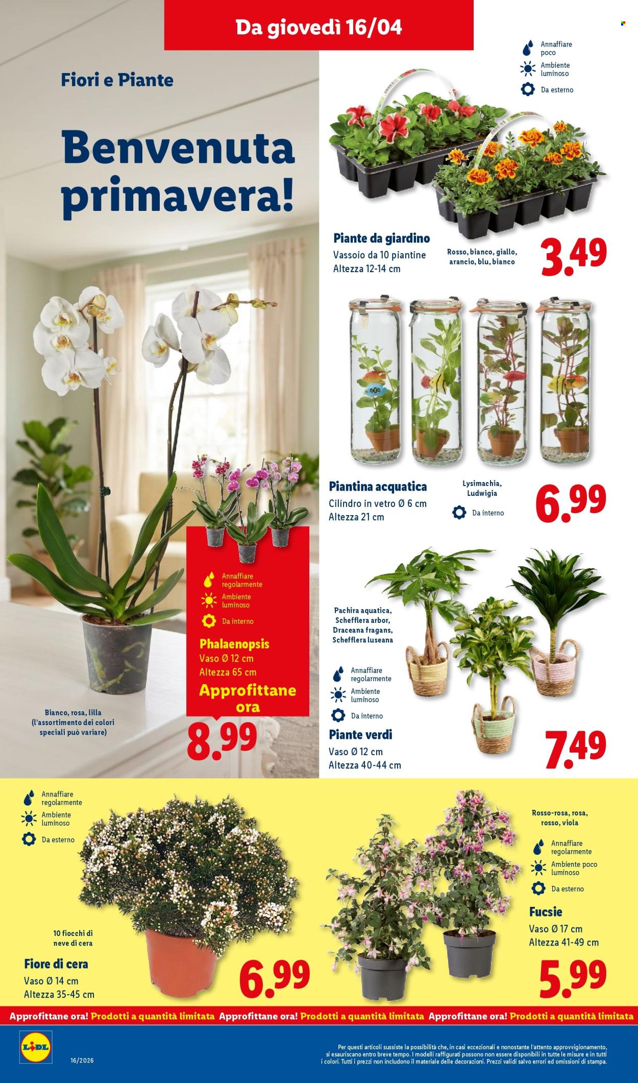 Volantino Lidl - 16/4/2026 - 22/4/2026. Pagina 26