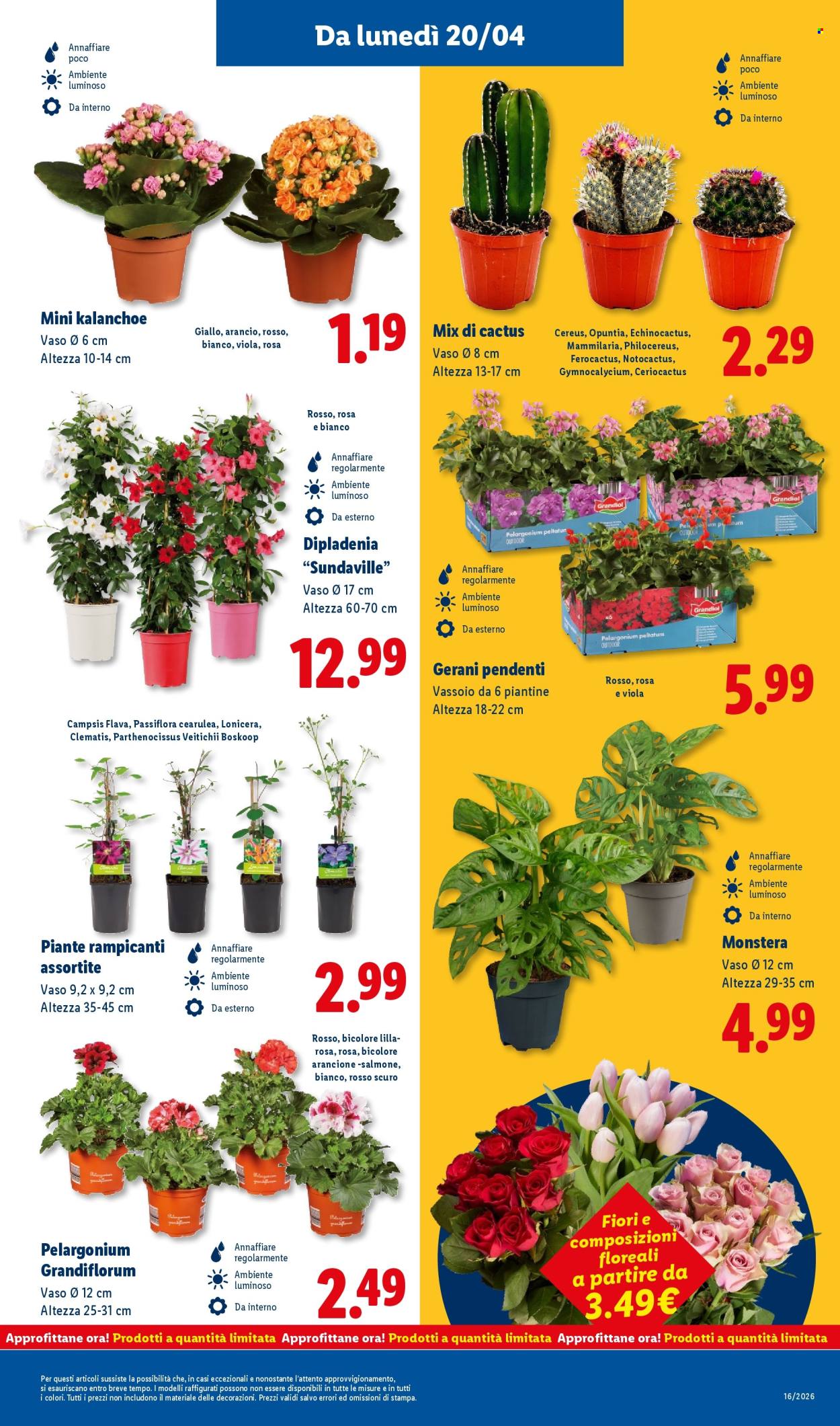 Volantino Lidl - 16/4/2026 - 22/4/2026. Pagina 27
