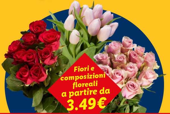 Fiori e composizioni floreali