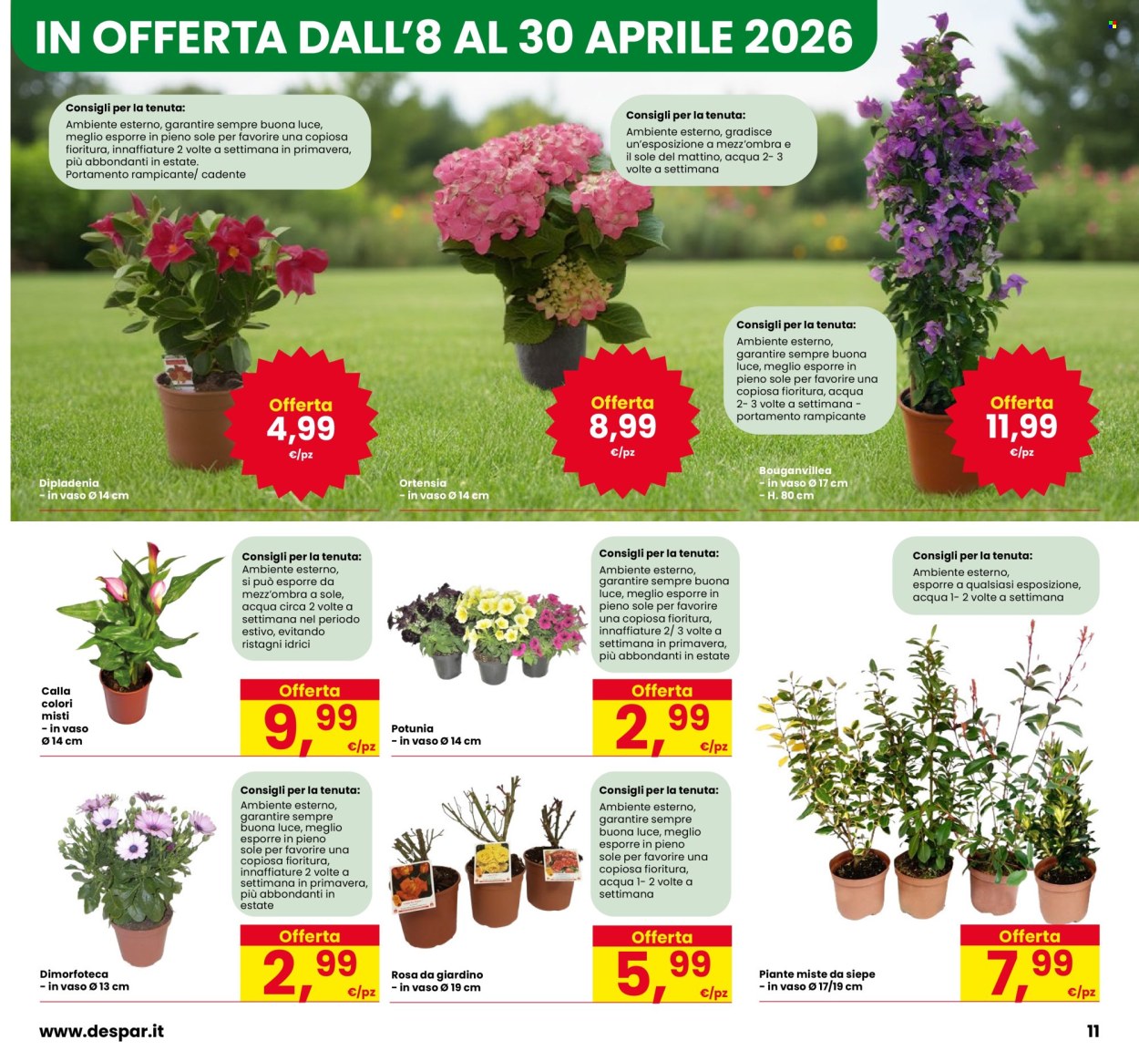Volantino Interspar - 13/4/2026 - 18/5/2026. Pagina 11