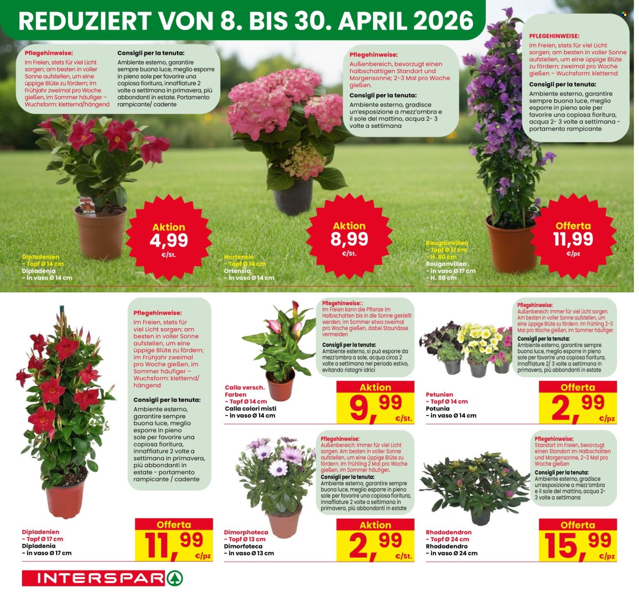 Volantino Interspar - 13/4/2026 - 18/5/2026. Pagina 12