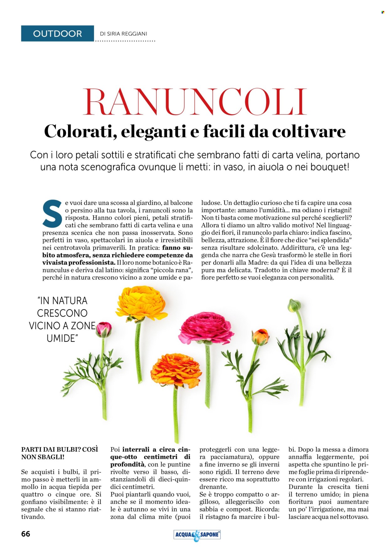 Volantino Acqua & Sapone - 1/4/2026 - 30/4/2026. Pagina 66