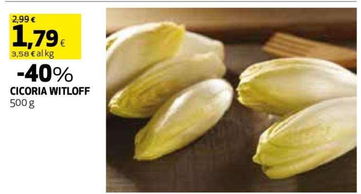 CICORIA WITLOFF
