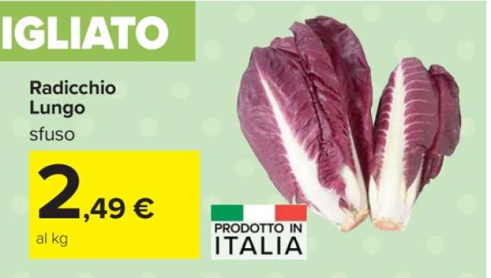 RADICCHIO LUNGO