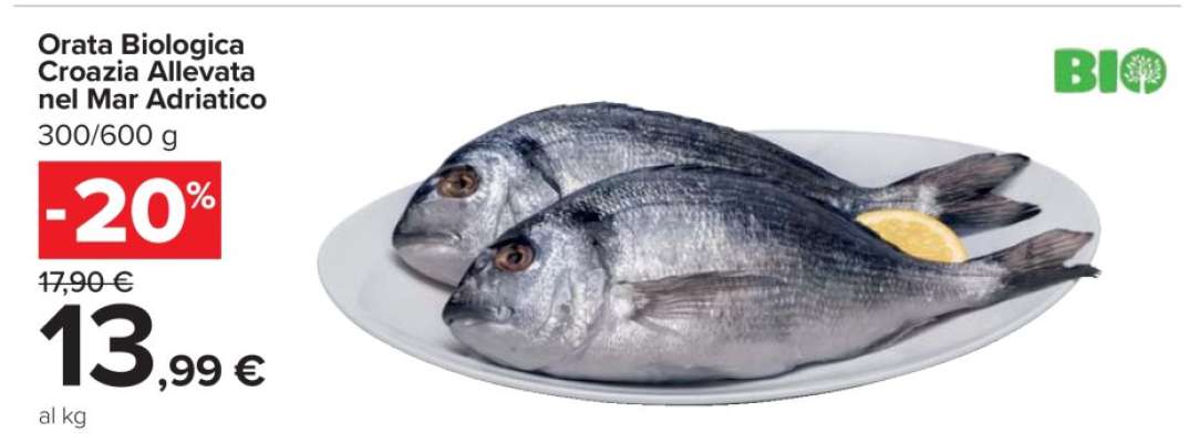 Orata Biologica Croazia Allevata nel Mar Adriatico