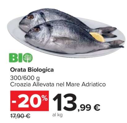 Orata Biologica