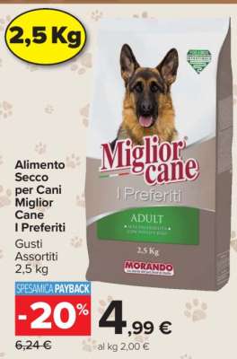 Miglior Cane I Preferiti