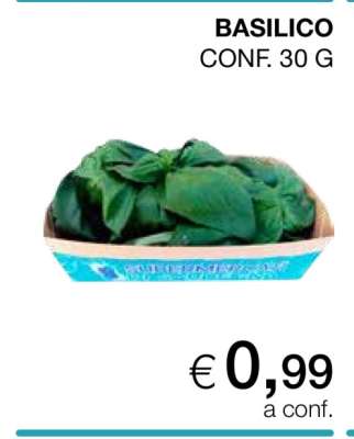 Basilico