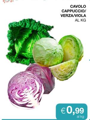 Cavolo Cappuccio/Verza/Viola