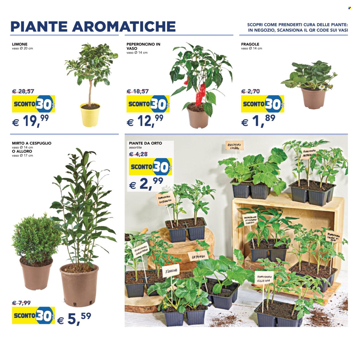 Volantino Esselunga - 23/4/2026 - 6/5/2026. Pagina 13