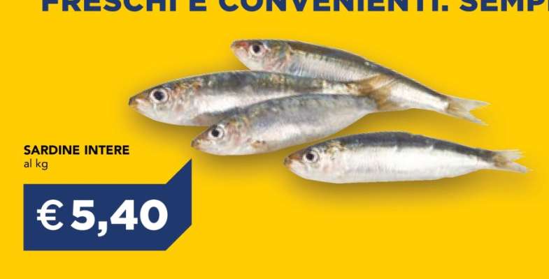 SARDINE INTERE