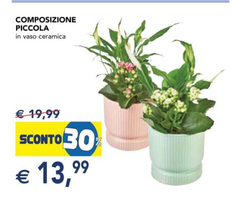 COMPOSIZIONE PICCOLA