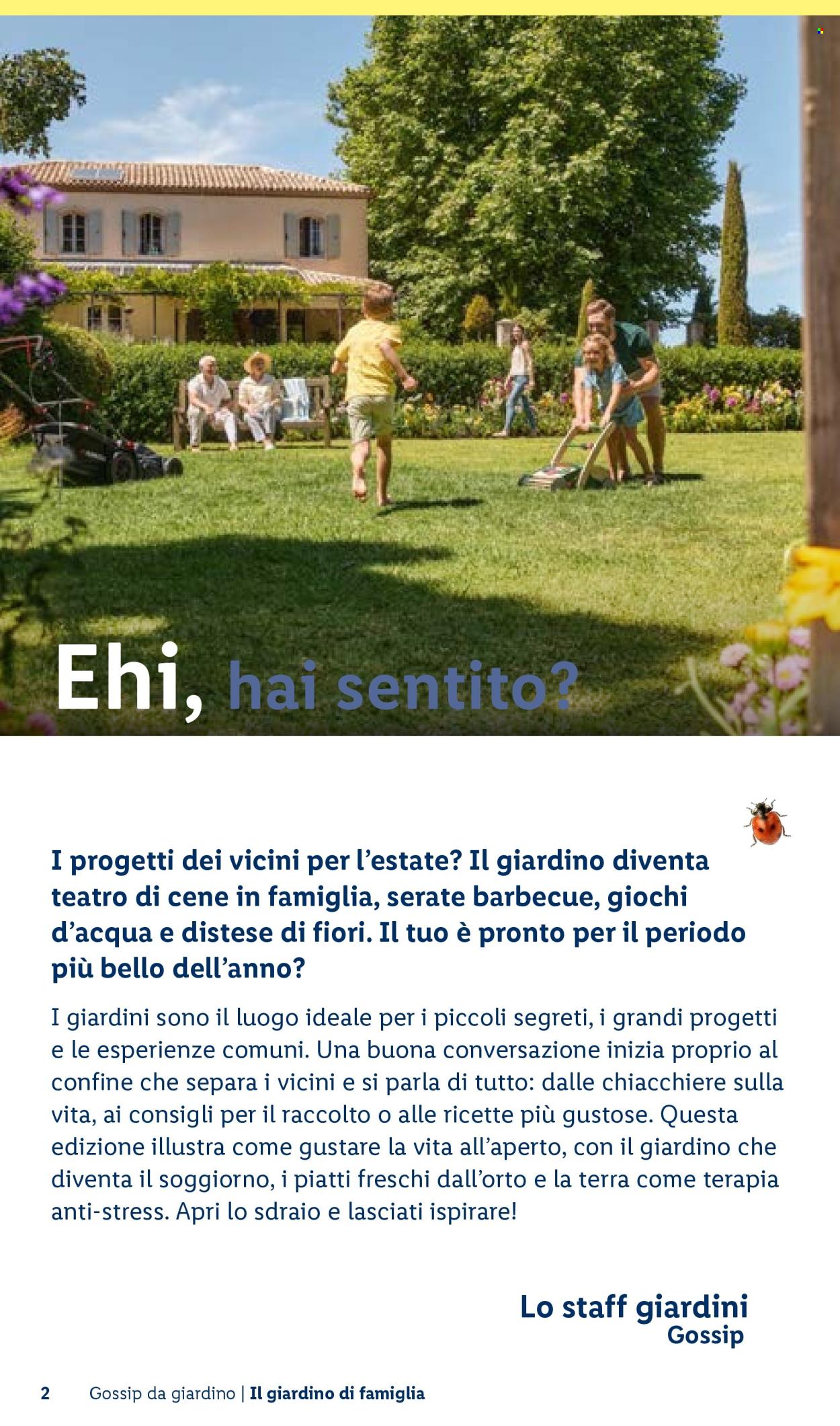 Volantino Lidl. Pagina 2