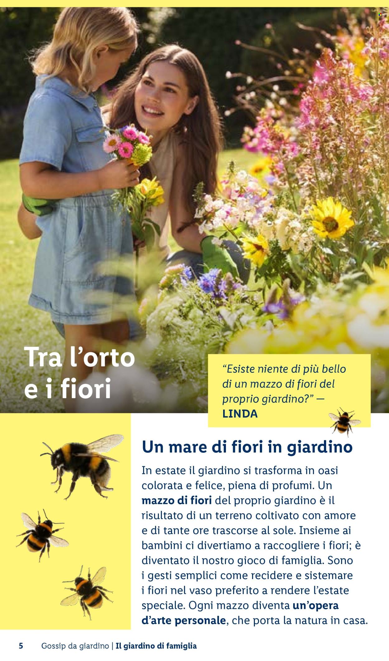 Leták Lidl. Strana 5