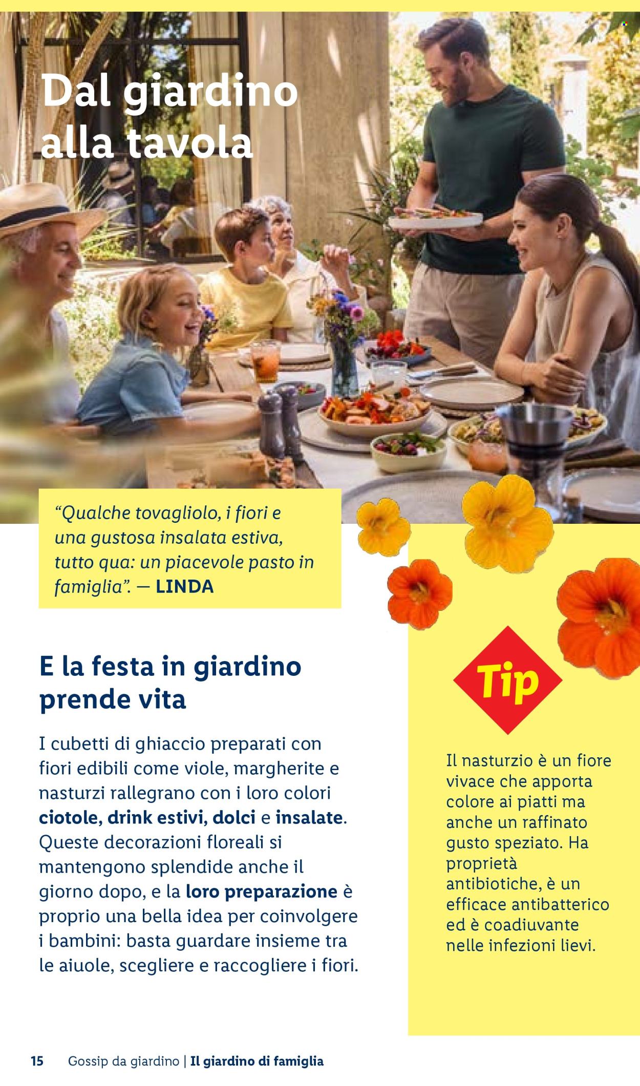 Leták Lidl. Strana 15