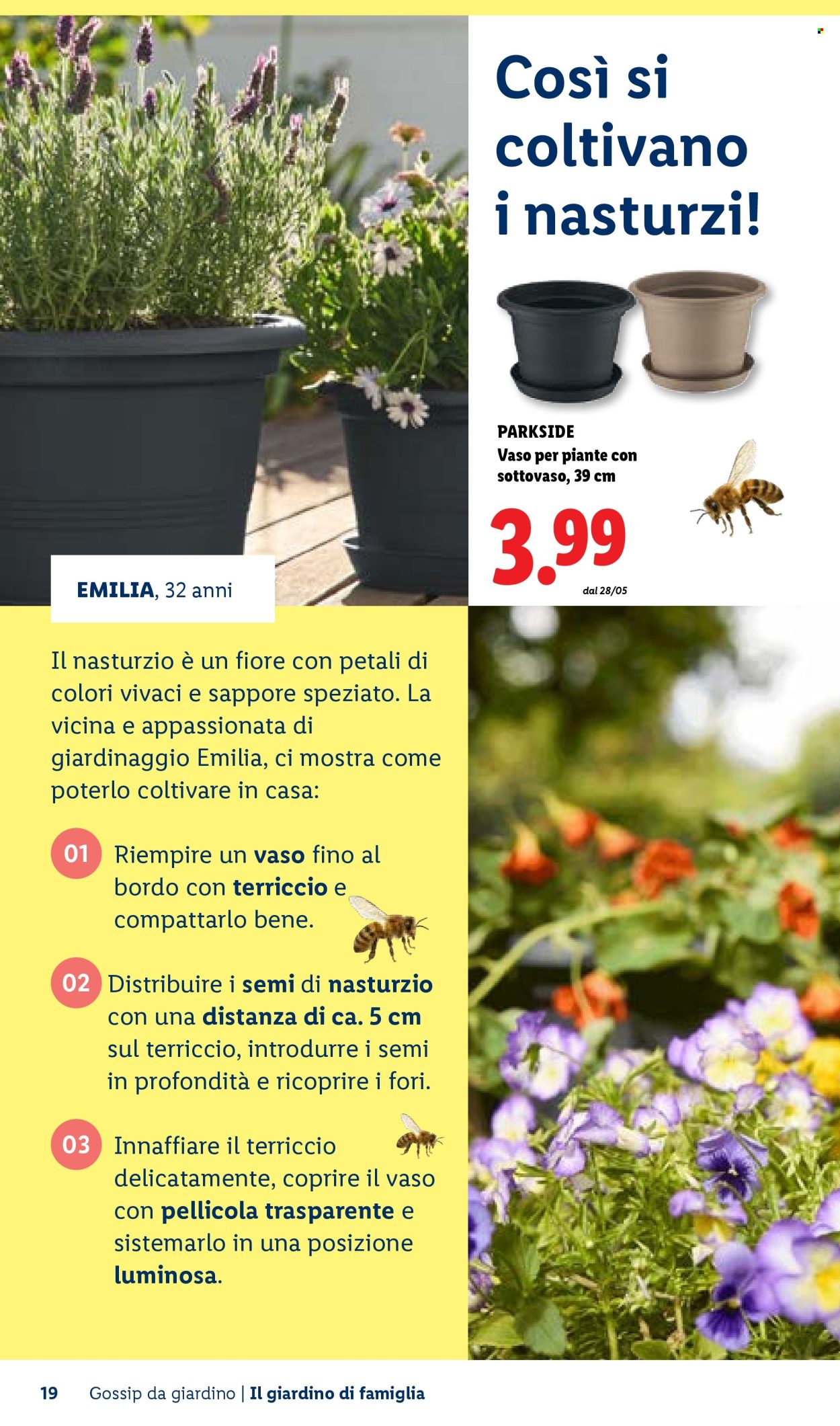 Leták Lidl. Strana 19