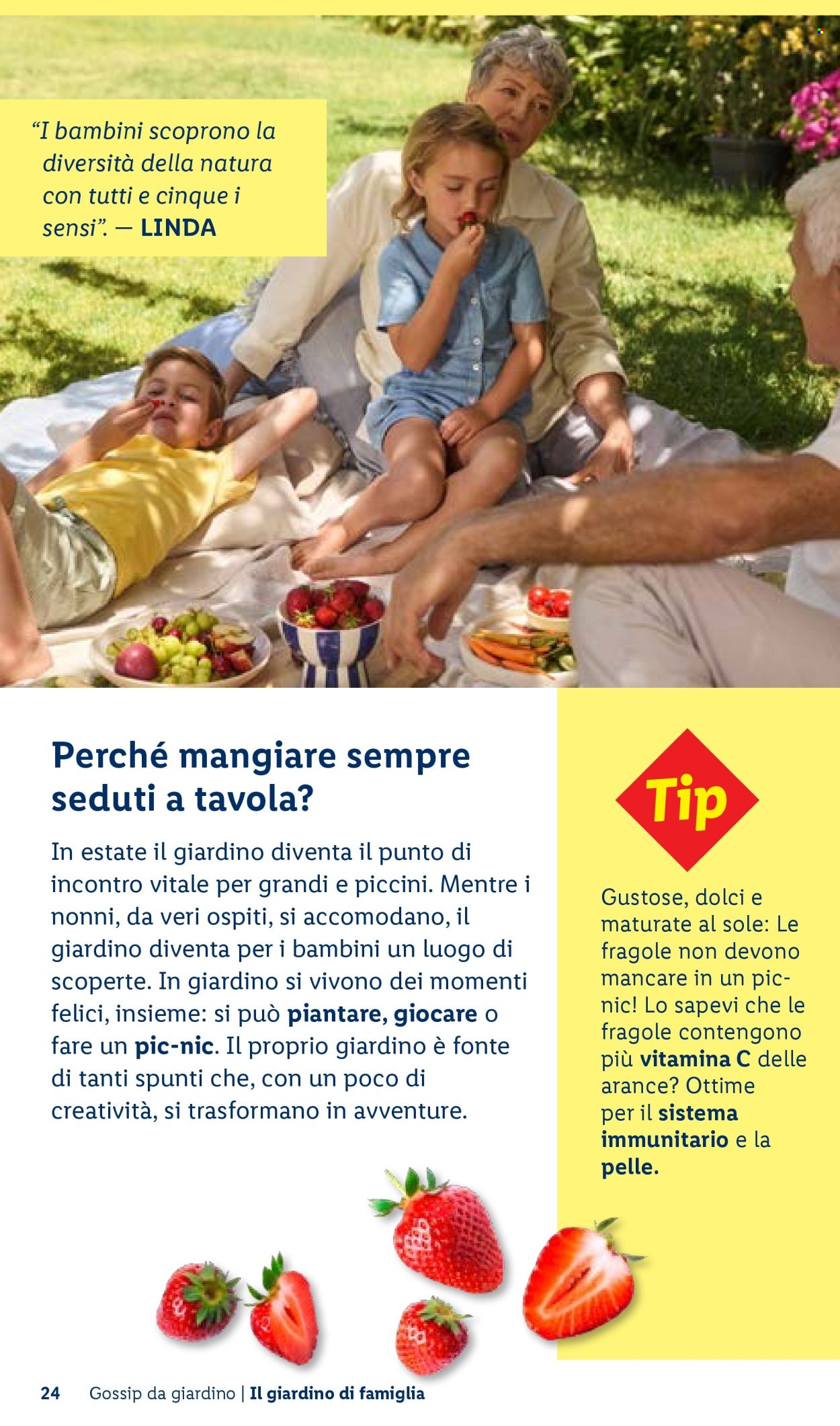 Leták Lidl. Strana 24