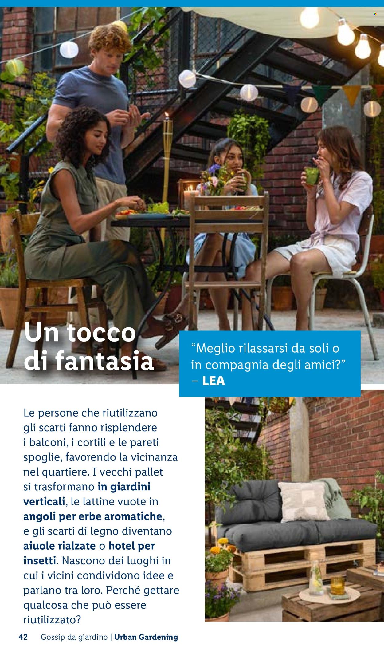 Volantino Lidl. Pagina 42