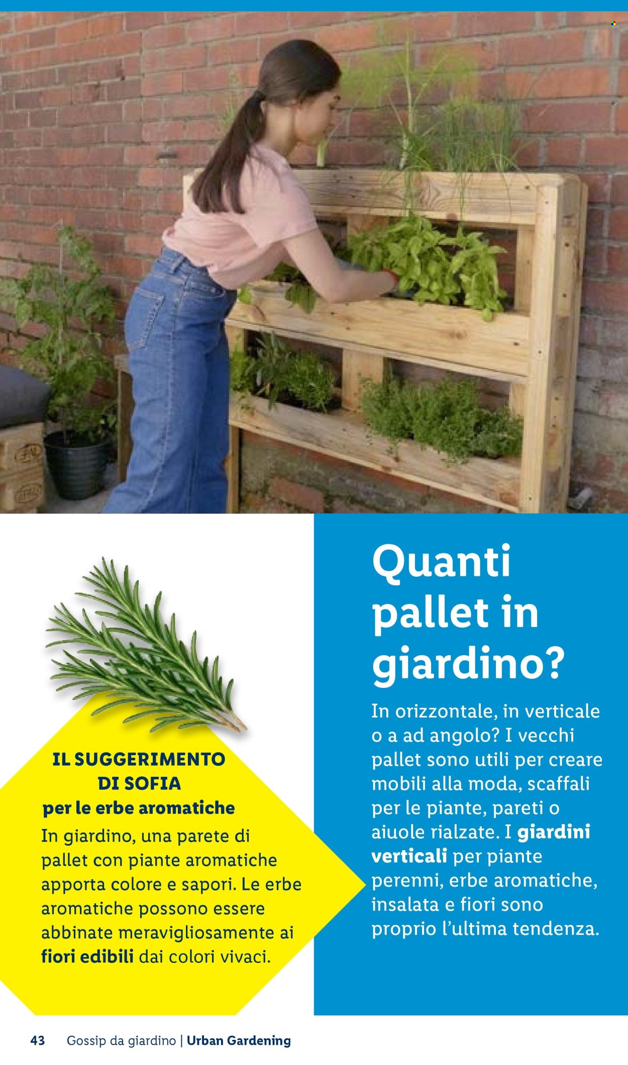 Leták Lidl. Strana 43