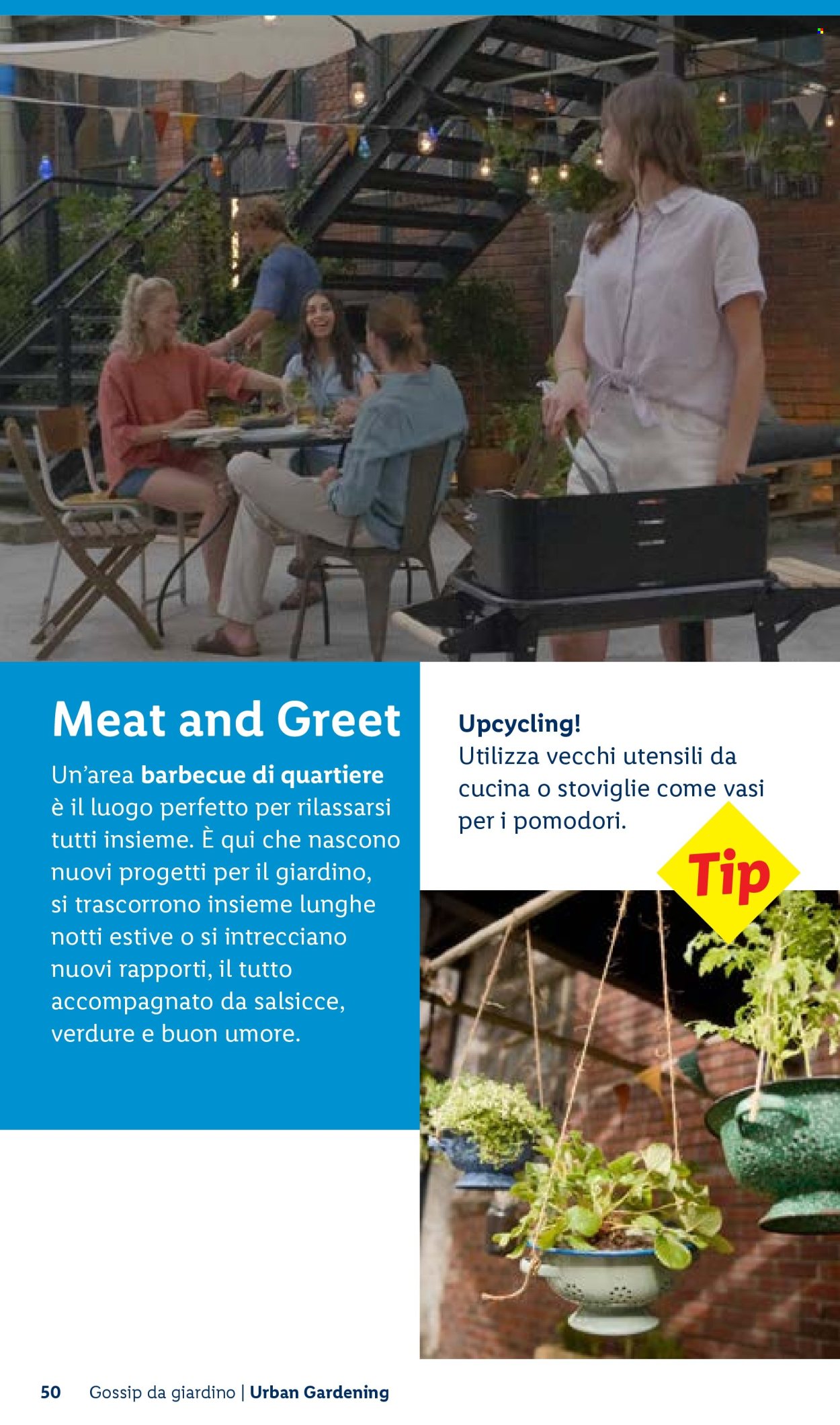 Volantino Lidl. Pagina 50