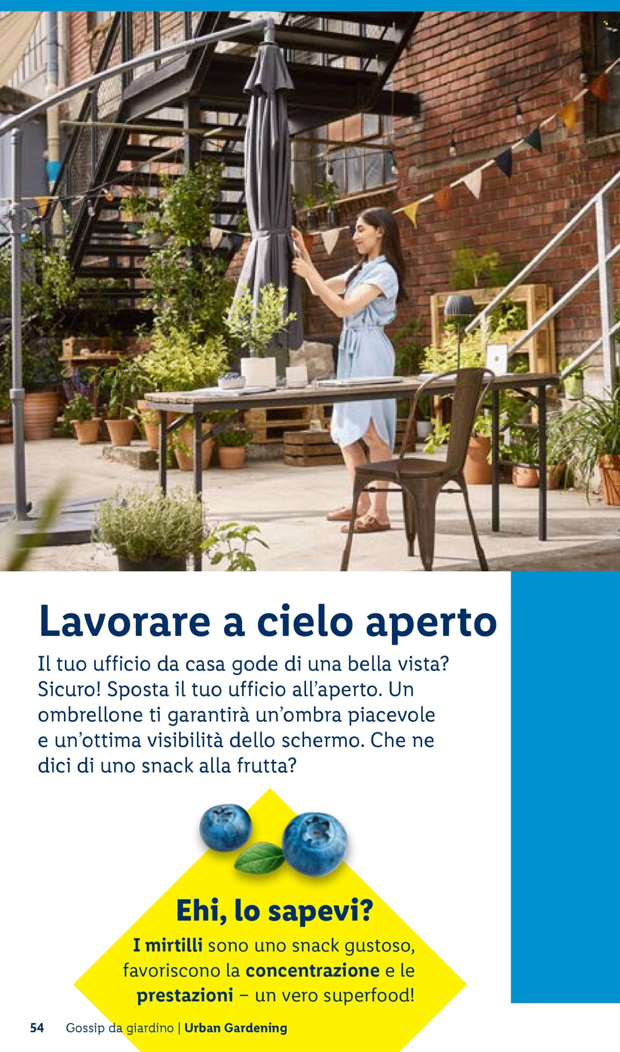 Leták Lidl. Strana 54